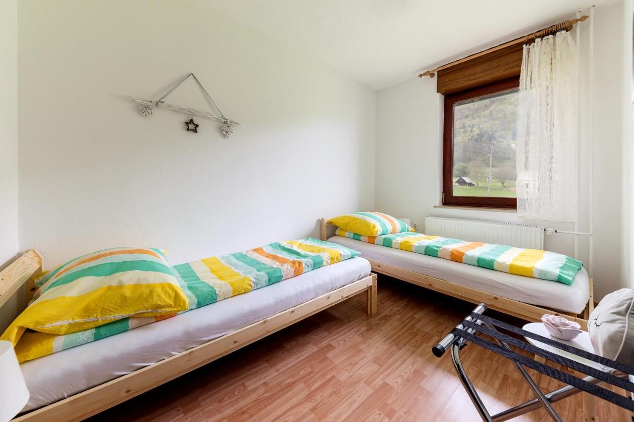 Apartment Valy - Free Bikes, Relaxing Terrace & Near 布莱德 外观 照片