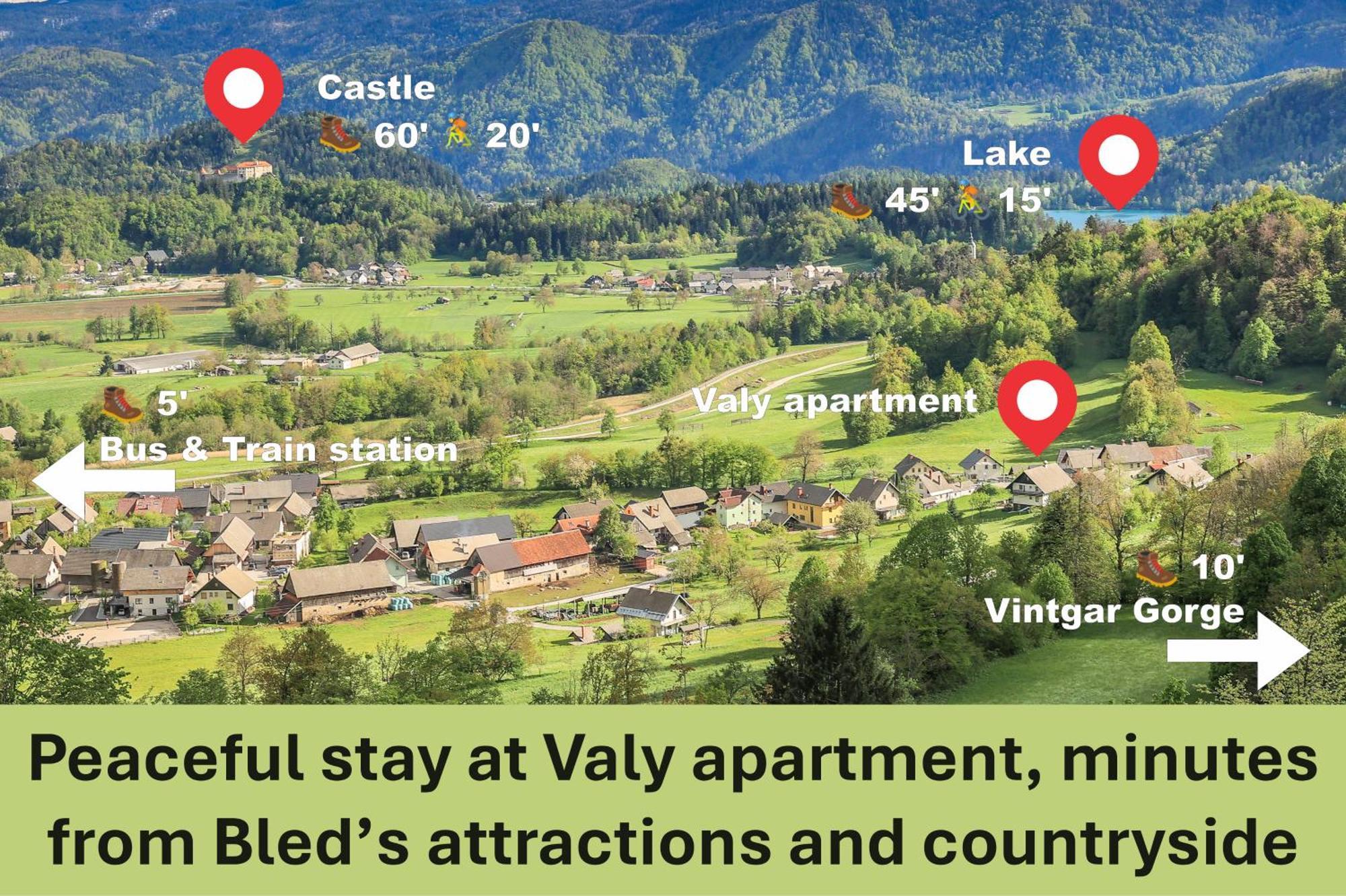 Apartment Valy - Free Bikes, Relaxing Terrace & Near 布莱德 外观 照片