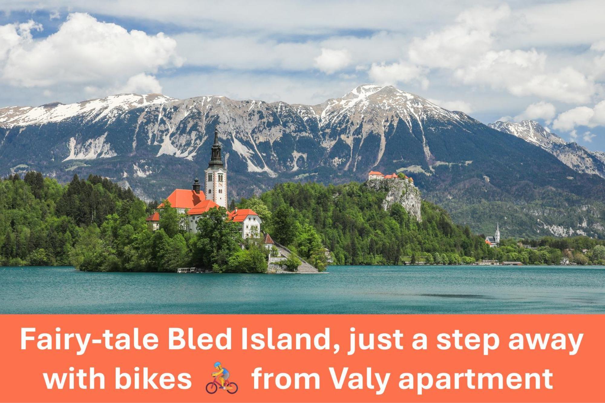 Apartment Valy - Free Bikes, Relaxing Terrace & Near 布莱德 外观 照片