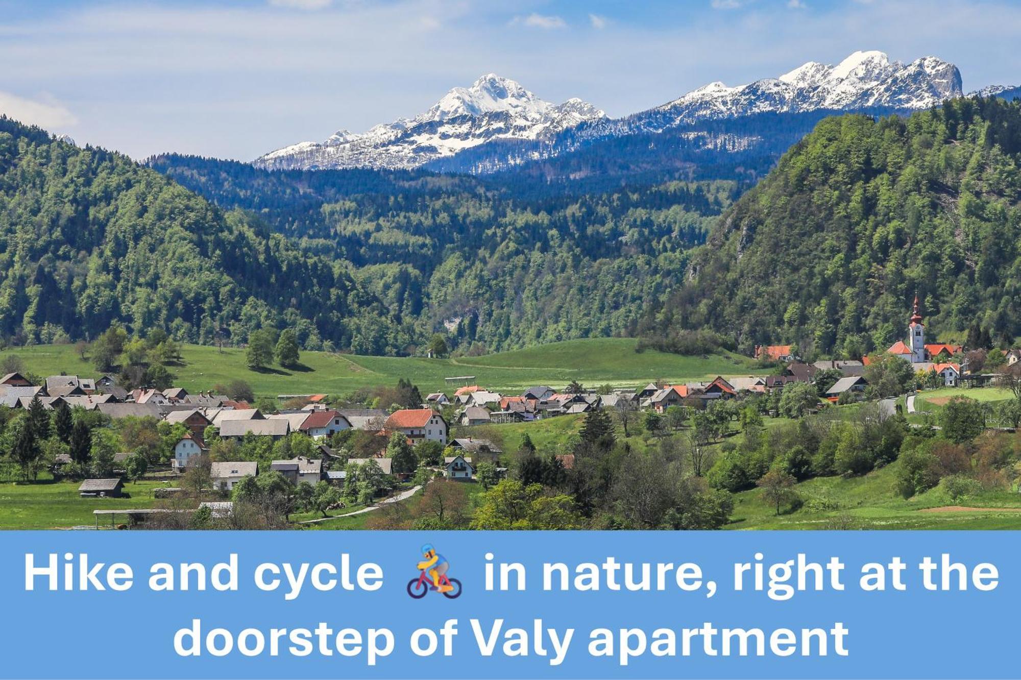 Apartment Valy - Free Bikes, Relaxing Terrace & Near 布莱德 外观 照片